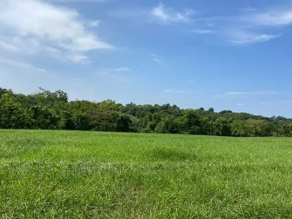 Mt. Olivet, KY 41064,131 Hidden Acres