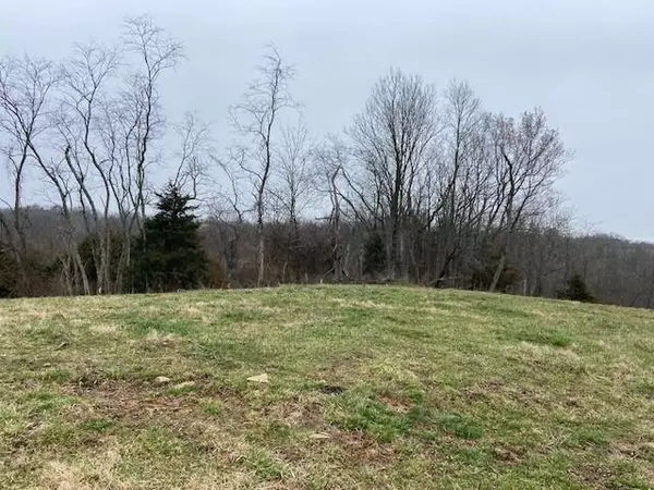 796 Hidden Acres, Mt. Olivet, KY 41064