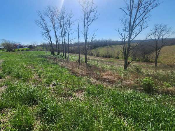 34.67 Acres Highway 22 E, Owenton, KY 40359