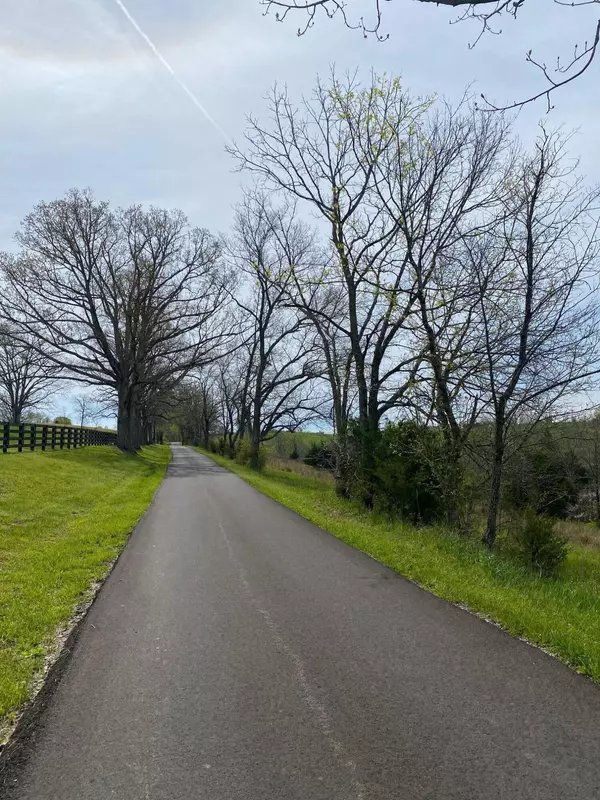 31.87 AC Dark Region Road, Williamstown, KY 41097