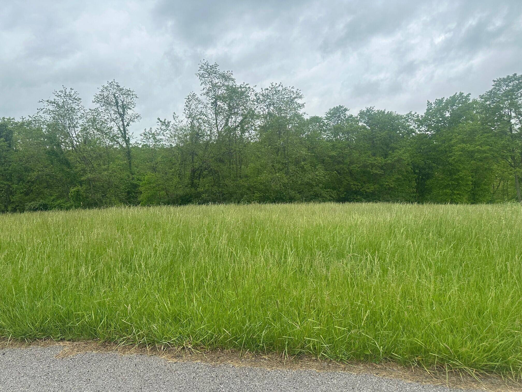 0 Michaels Lane #48, Brooksville, KY 41004