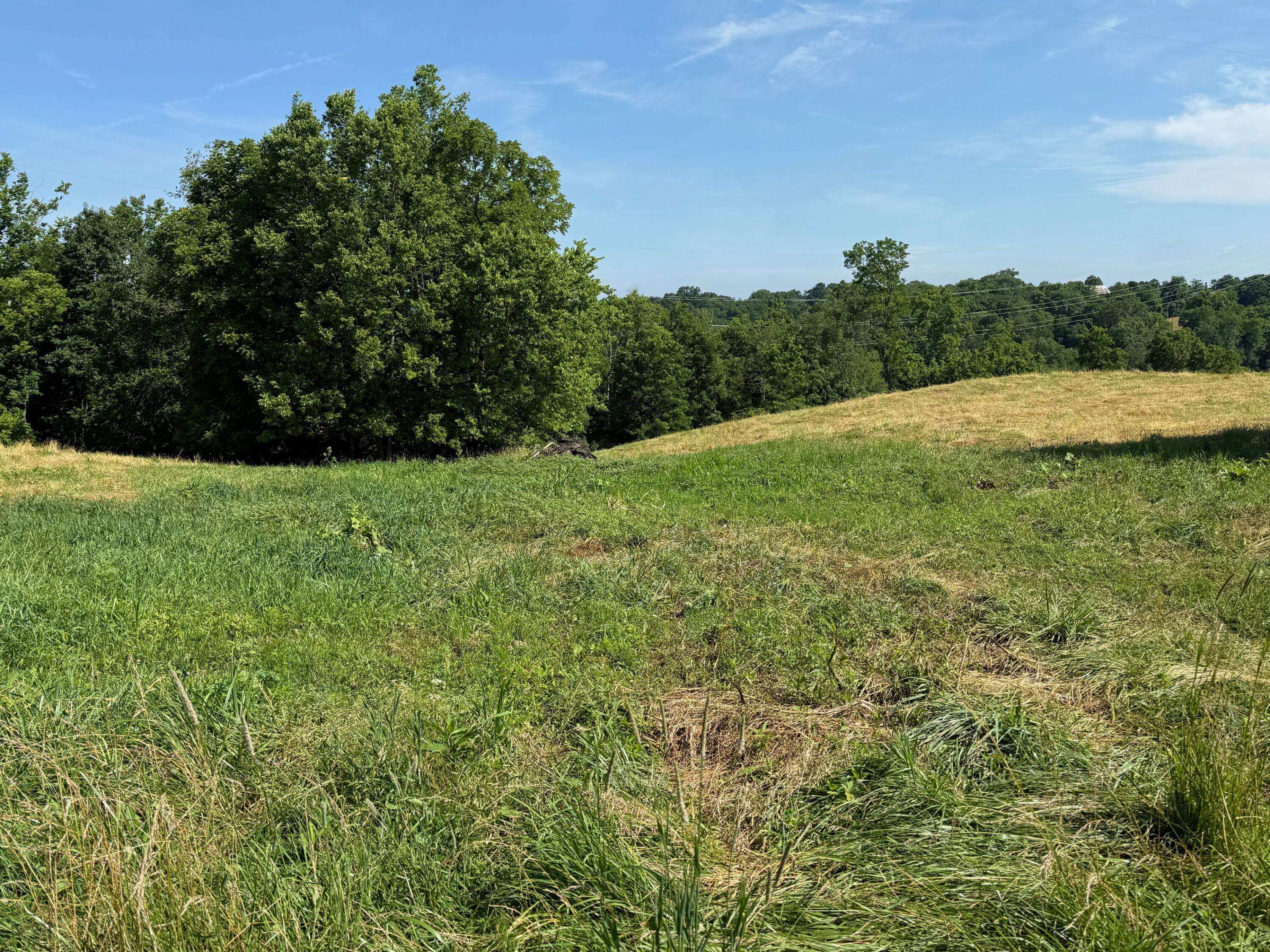 2418-4 Hempfling Road, Morning View, KY 41063