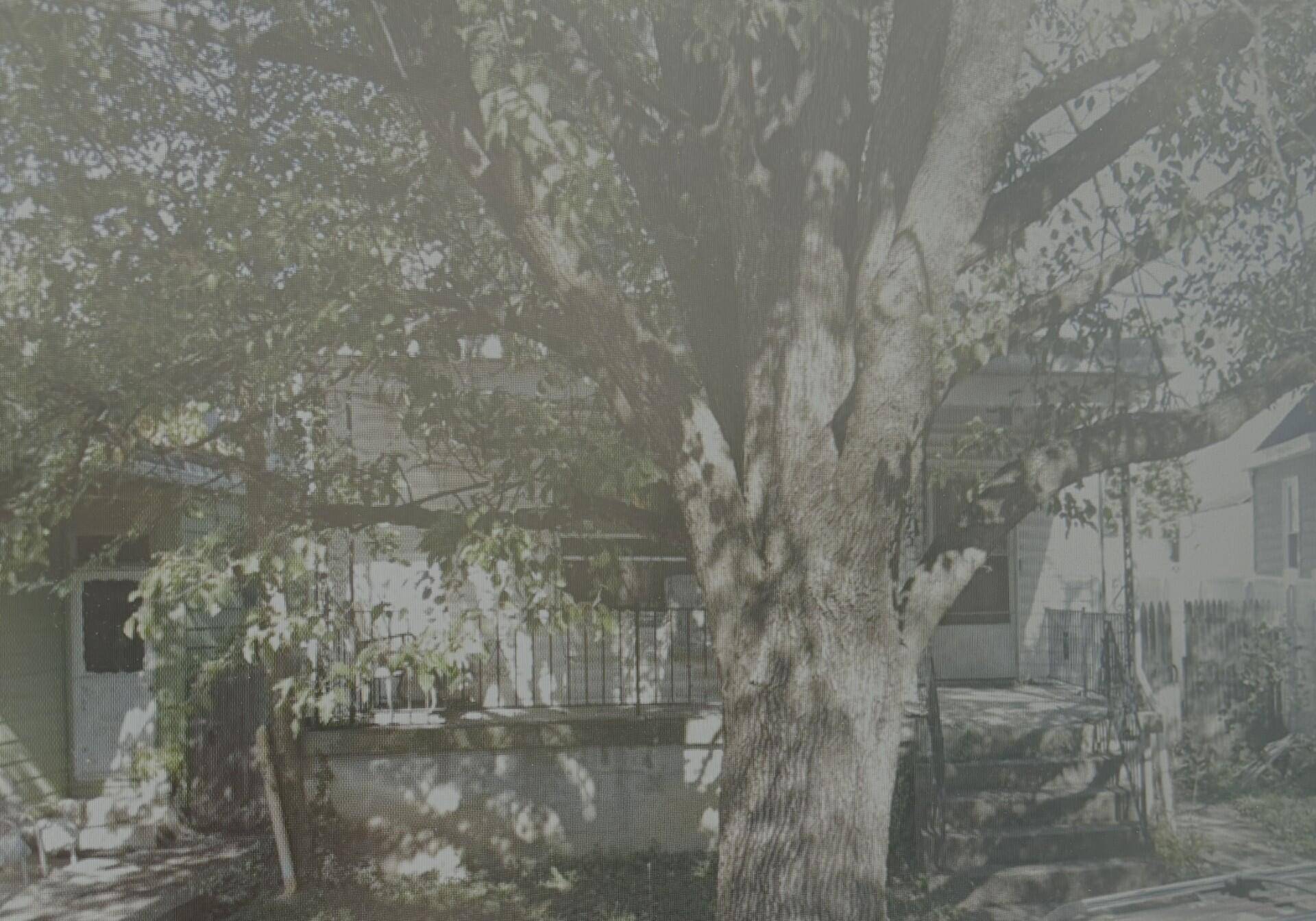 473 Washington Avenue, Bellevue, KY 41073