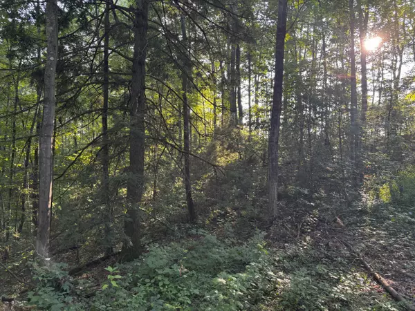 Campton, KY 41301,Lot 9 Victory Falls Development