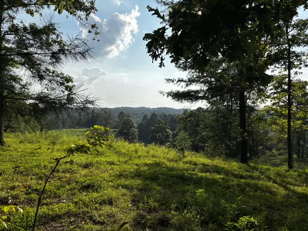 Campton, KY 41301,Lot 9 Victory Falls Development