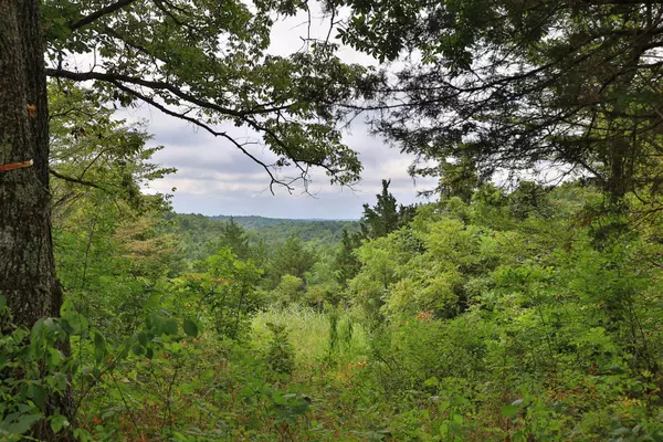 937 Neave-Milford Road, Falmouth, KY 41040