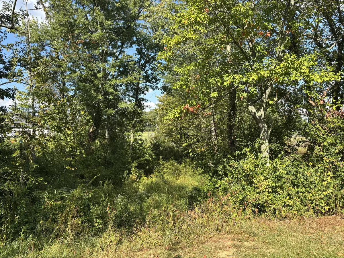 Union, KY 41091,Lot68 & 69 Benson Pl.