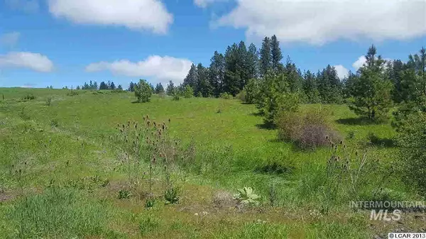 Almost Heaven Sub Div Ii Lot 12, Kamiah, ID 83536