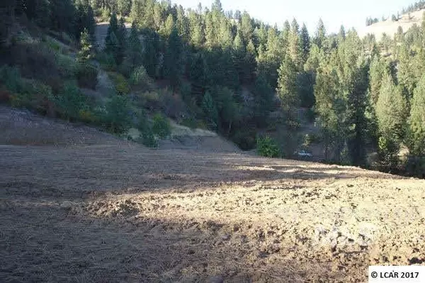 Ahsahka, ID 83520,tbd Whitetail Dr