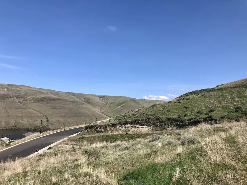 718 Swantz Drive, Asotin, WA 99402