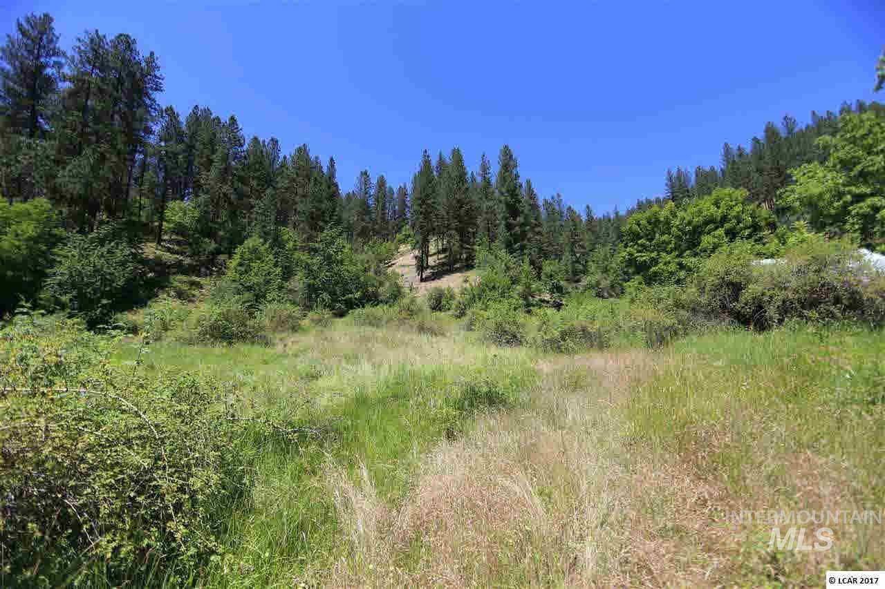 Kooskia, ID 83539,TBD Hwy 12 Middle Fork Of Clearwater River