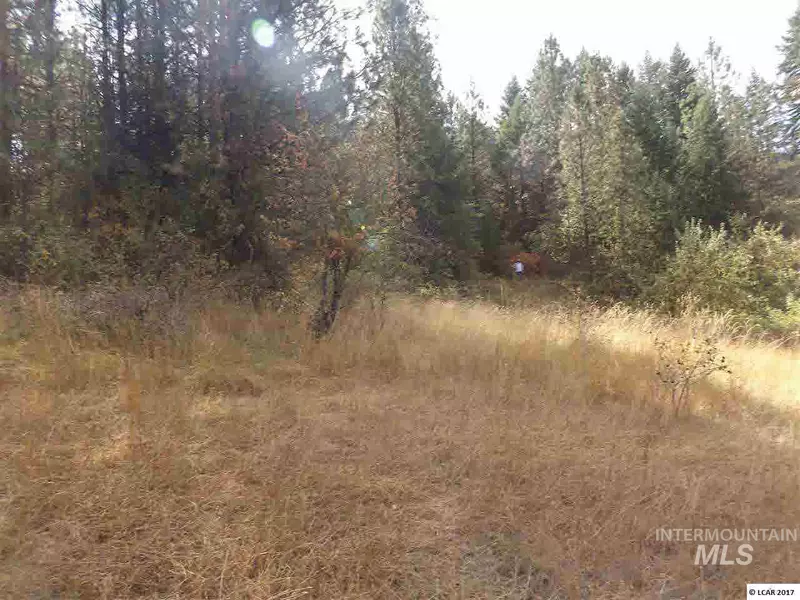 TBD Old Melrose Grade, Peck, ID 83545