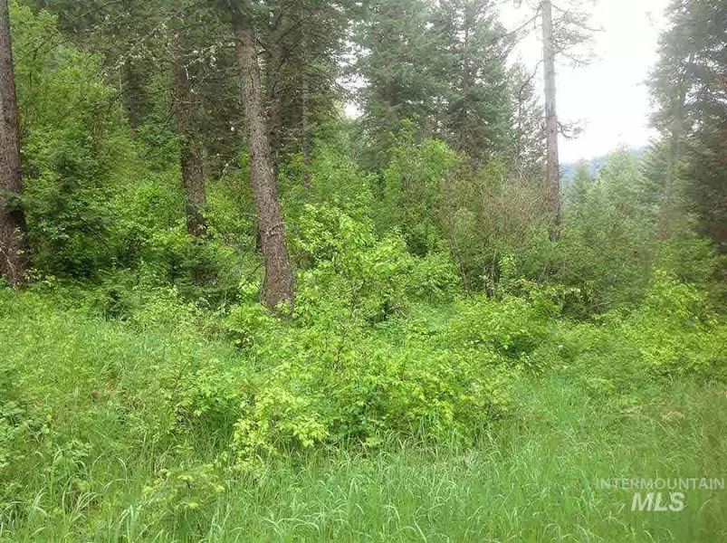 Parcel B Huckleberry Butte, Orofino, ID 83544