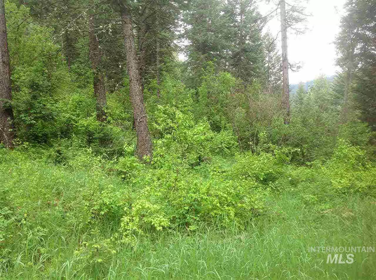 Orofino, ID 83544,Parcel B Huckleberry Butte