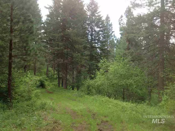 Orofino, ID 83544,Parcel B Huckleberry Butte