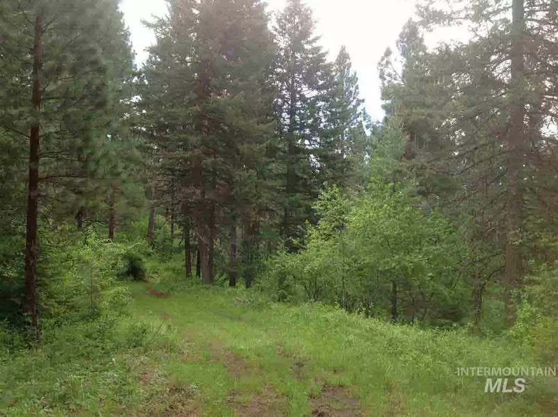 Parcel C Huckleberry Butte Boulevard, Orofino, ID 83544