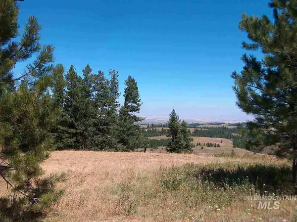 Lot 93 Pilgrims Ridge, White Bird, ID 83554