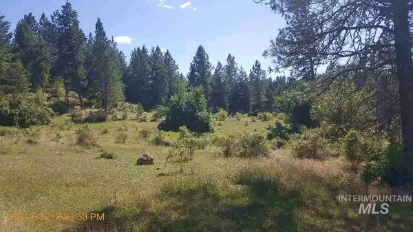 TBD Luke's Gulch Road, Grangeville, ID 83530