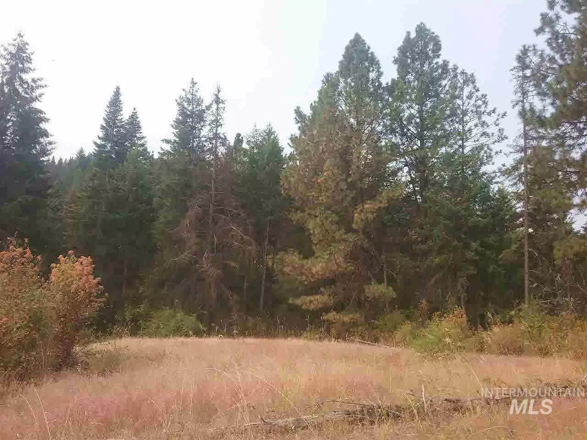 Orofino, ID 83544,TBD Moose Ridge Road