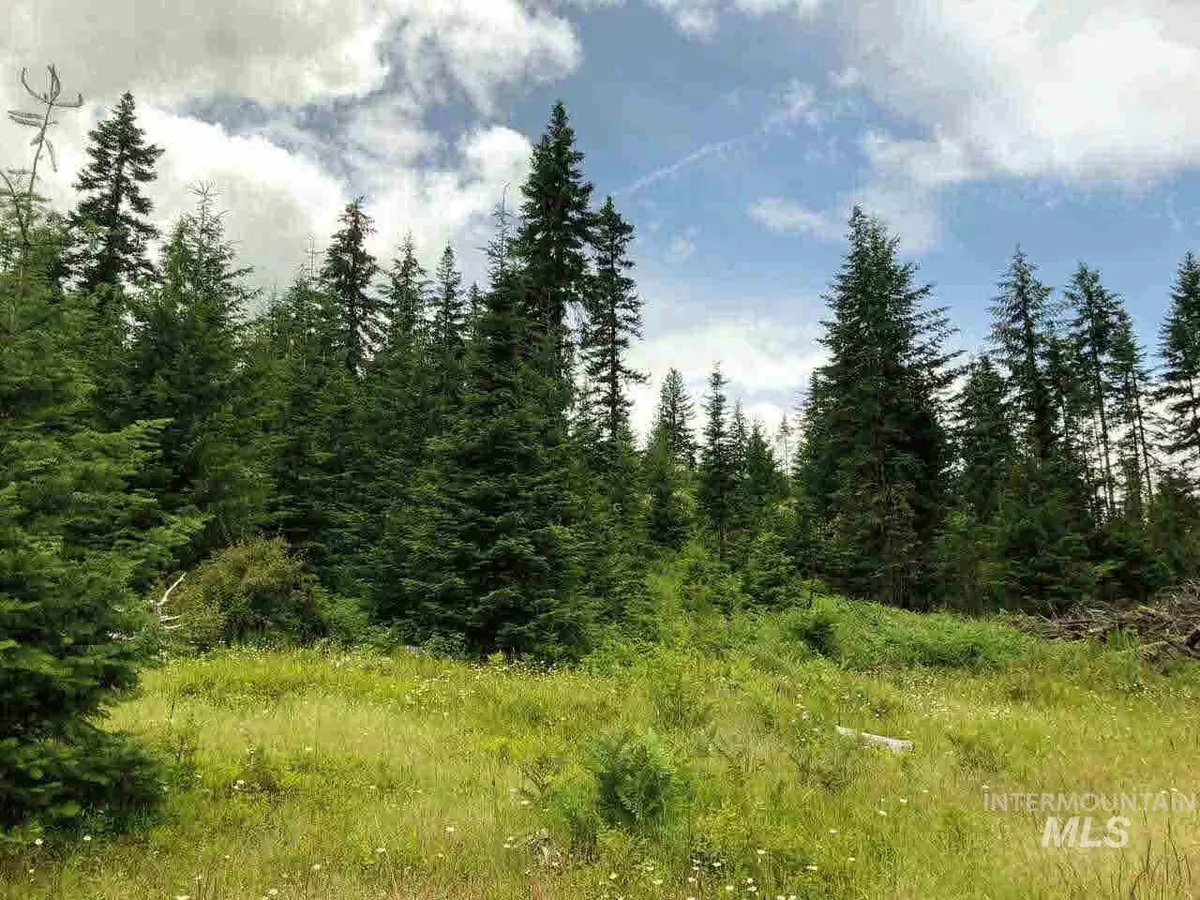 Orofino, ID 83544-8,Parcel 10 Bugle Ridge (Upper Ove)