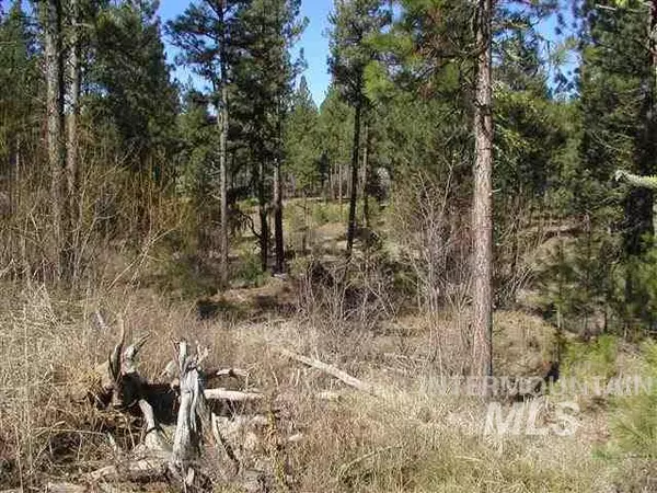 New Meadows, ID 83654,Lot 1 Short Line Drive