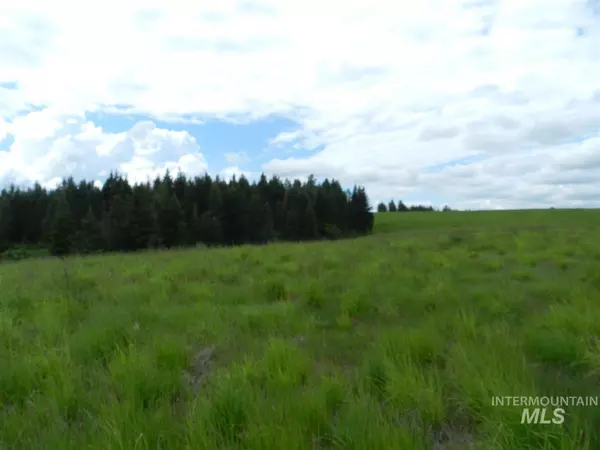NNA Hwy 9 Lot 5, Princeton, ID 83857