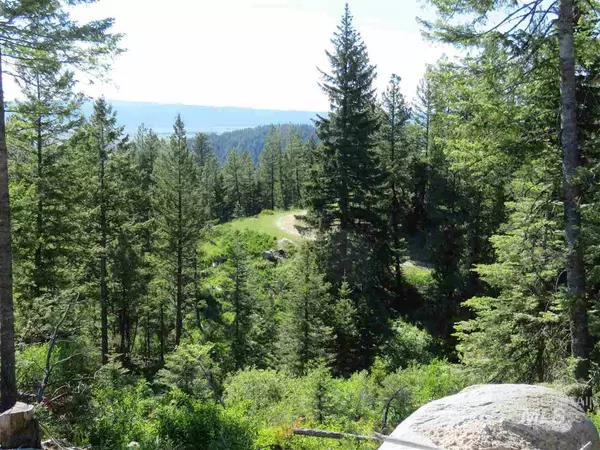 Mccall, ID 83638,Paddy Flat Rd