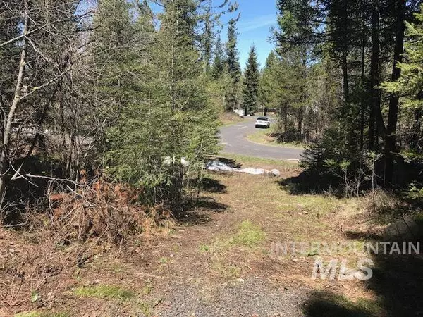 Mccall, ID 83638,906 Wildhorse Drive