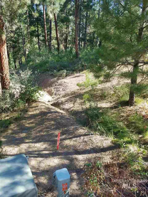 Idaho City, ID 83631,TBD Grouse Drive