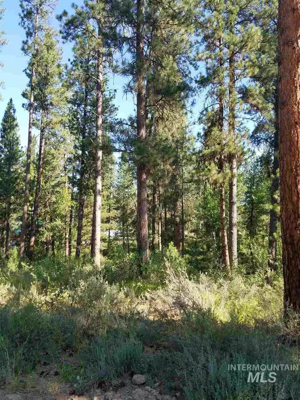 Idaho City, ID 83631,TBD Grouse Drive