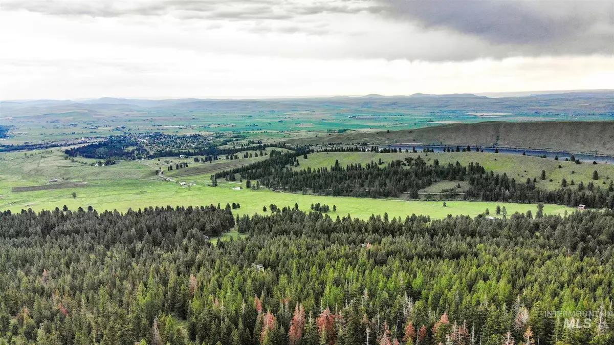 Enterprise, OR 97828,0 Old Ski Run