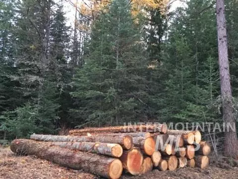 Enterprise, OR 97828,0 Old Ski Run