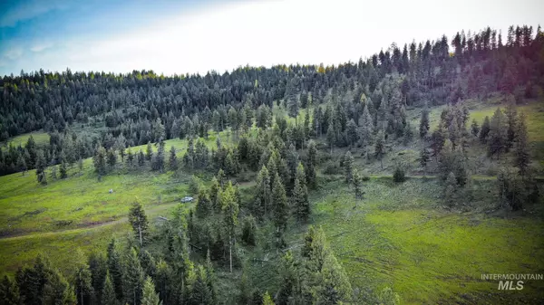 Enterprise, OR 97828,0 Davis Creek