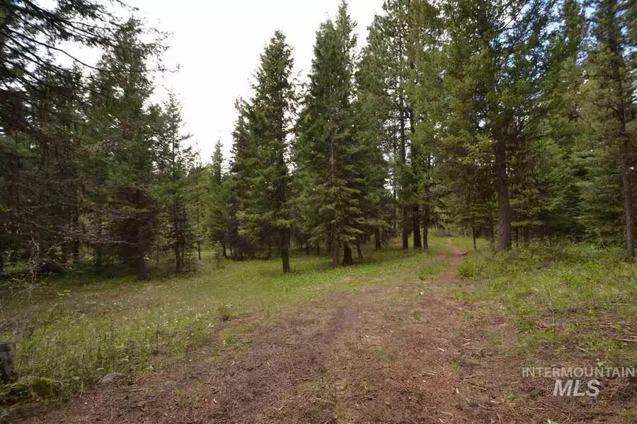 1207 Zachary Lane, Mccall, ID 83638