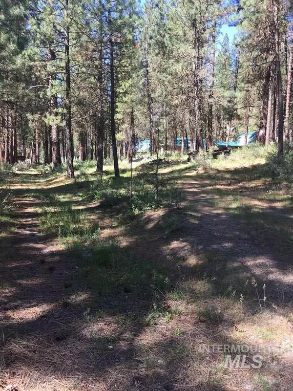 Lot F Hwy 21, Lowman, ID 83637