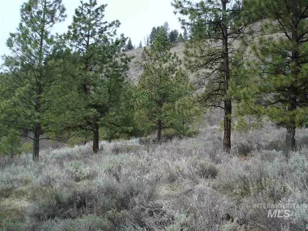 Lowman, ID 83637,Lot 7 High Drive