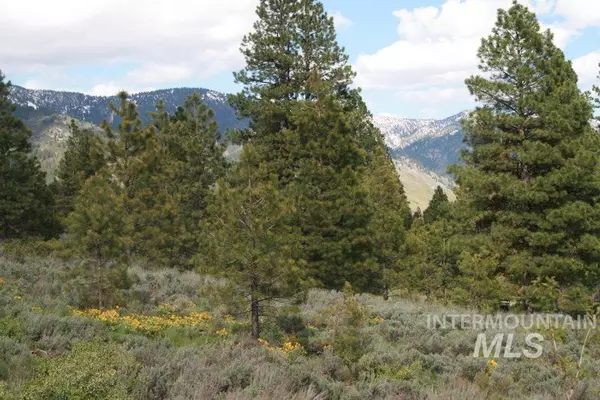 Lowman, ID 83637,Lot 7 High Drive