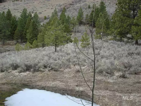 Lowman, ID 83637,Lot 7 High Drive