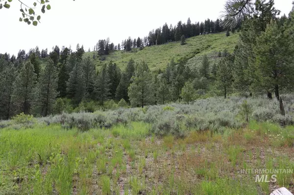 Lowman, ID 83637,Lot 10 High Drive