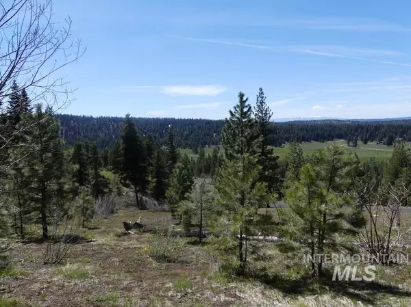 Mccall, ID 83638,TBD Whitefield