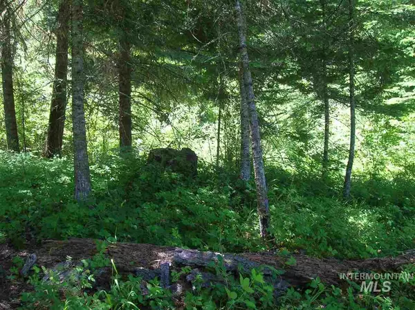 Orofino, ID 83544,TBD Cold Springs Lane