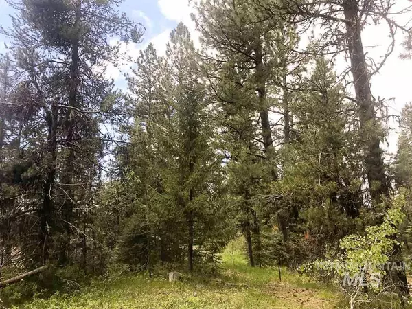 Mccall, ID 83638,400 N Verita