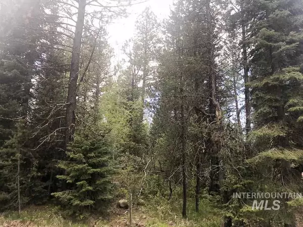Mccall, ID 83638,406 N Verita