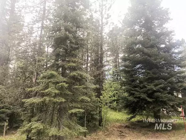 Mccall, ID 83638,406 N Verita