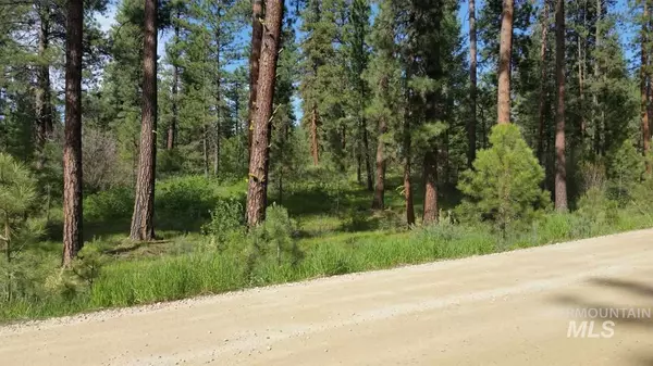 Idaho City, ID 83631,Lot 1 Blk 3 Meadow