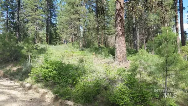 Idaho City, ID 83631,Lot 1 Blk 3 Meadow