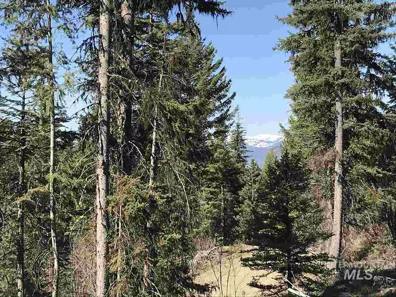 TBD Silver Fox Spur, Mccall, ID 83638