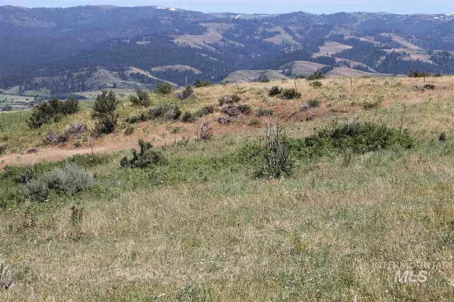 Coyote Run - 80 Acres, Council, ID 83612