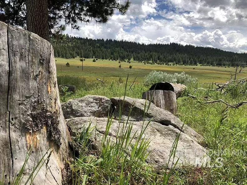 TBD Fish Lake Road, Mccall, ID 83638