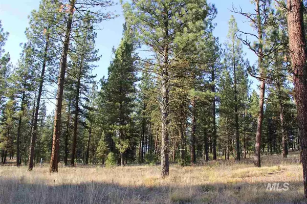 New Meadows, ID 83654,Lot 38 White Tail Court